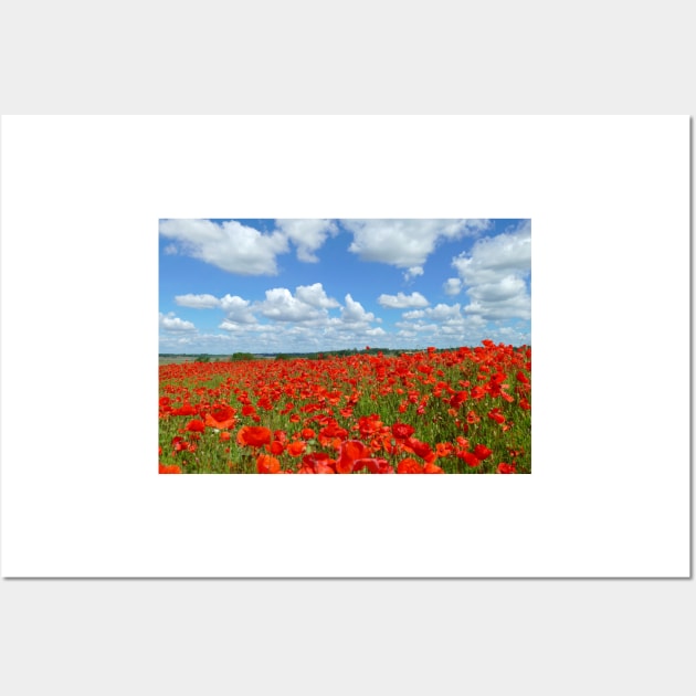 Poppy field Wall Art by Chris Petty